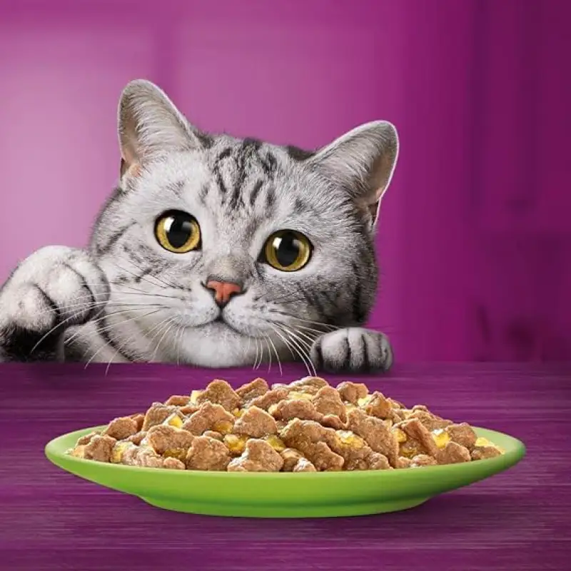 Whiskas Pranzuri cu Mari e Monti Gr 50X6 Bax 12 buc.